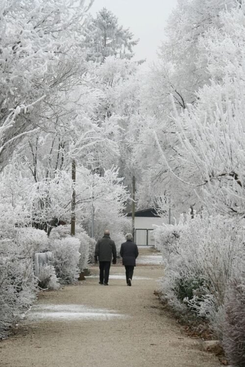 Hometown Christmas bucket list item - A couple walking through a beautiful winter wonderland. Snow covered trees in the forest.