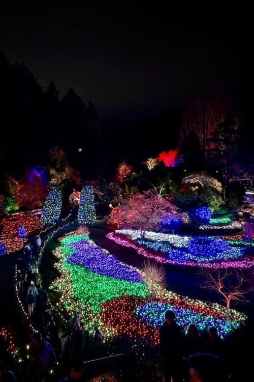 Hometown Christmas bucket list item - Christmas lights at the Butchart Gardens