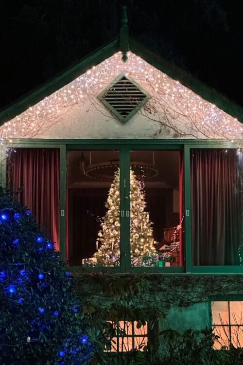 Hometown Christmas bucket list item, family tradition, looking at local Christmas lights