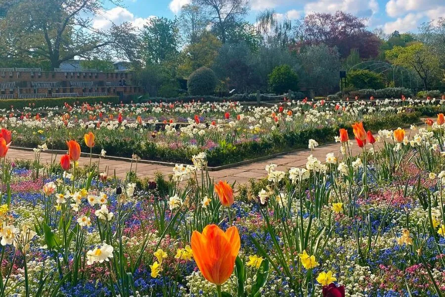Horniman Museum and Gardens, London, England. One of the many Places to Visit in London for Free.