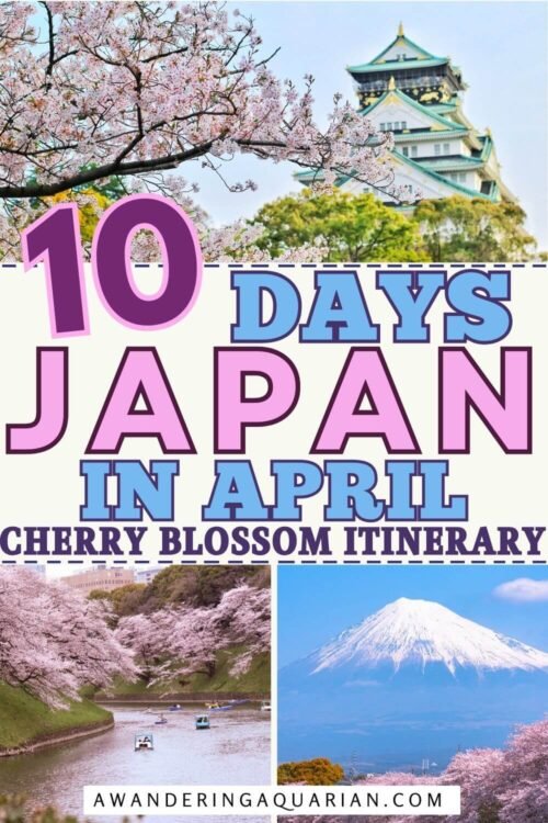 Japan in April to see the cherry blossoms itinerary