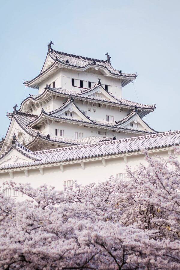 Himeji Castle behind the famous cherry blossoms.