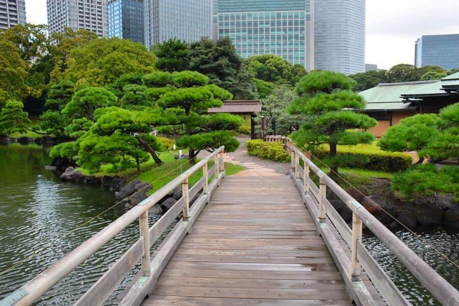 Nakajima Tea House in the Hamarikyu Gardens.