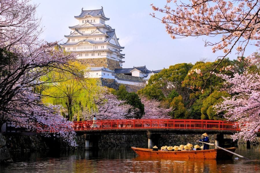 Himeji Castle behind the famous cherry blossoms.