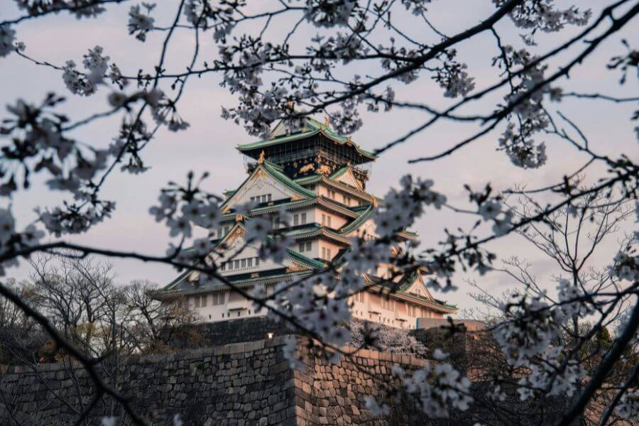 Osaka Castle surrounded by cherry blossoms