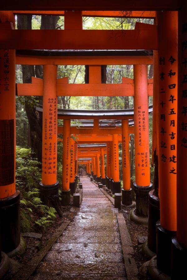 Torii path with at Fushimi Inari-Taisha Shrine in Kyoto, Japan