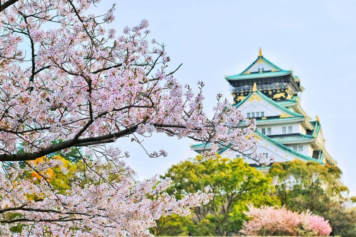 Osaka Castle with famous cherry blossoms in the forground for Hanami.