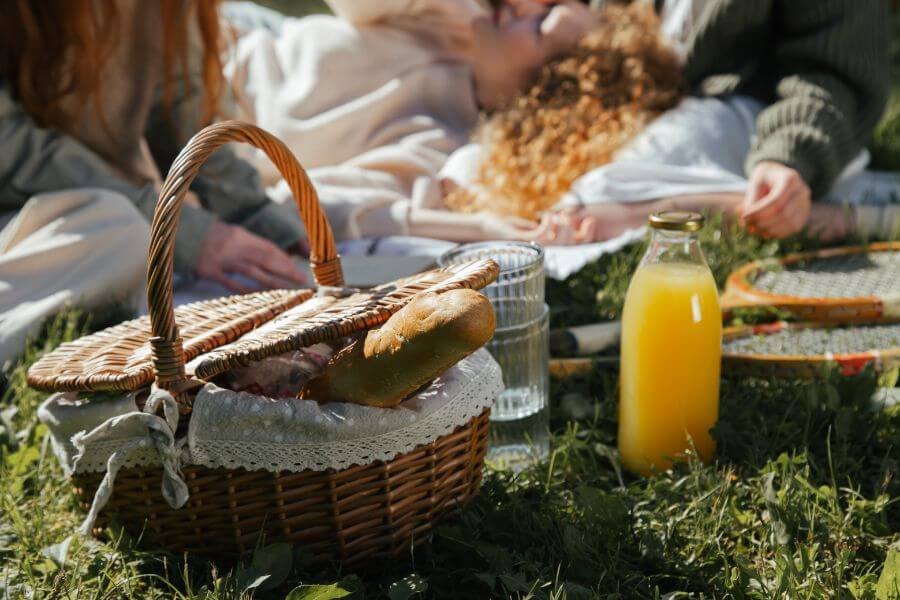 Summer picnic idea with frineds