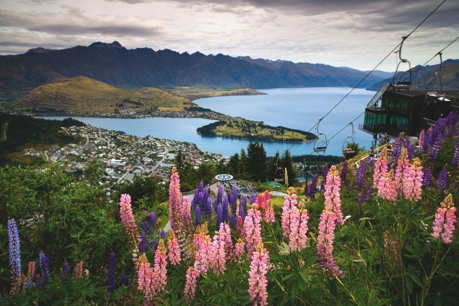 chairlift, flowers, mountainside, aerial view, Queensland, New Zealand, Lake Wakatipu