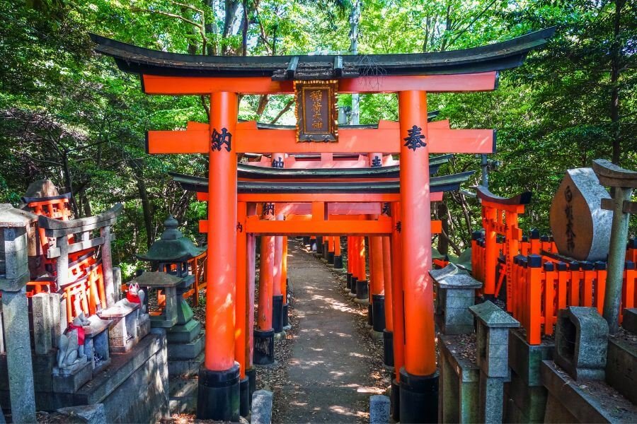 Red Torri Gates, Kyoto, Japan, Japanese Shrine, travellers dream