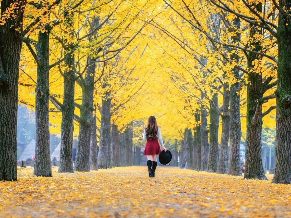 Autumn in South Korea