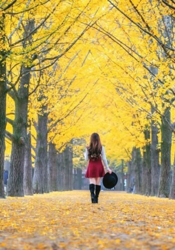 Autumn in South Korea