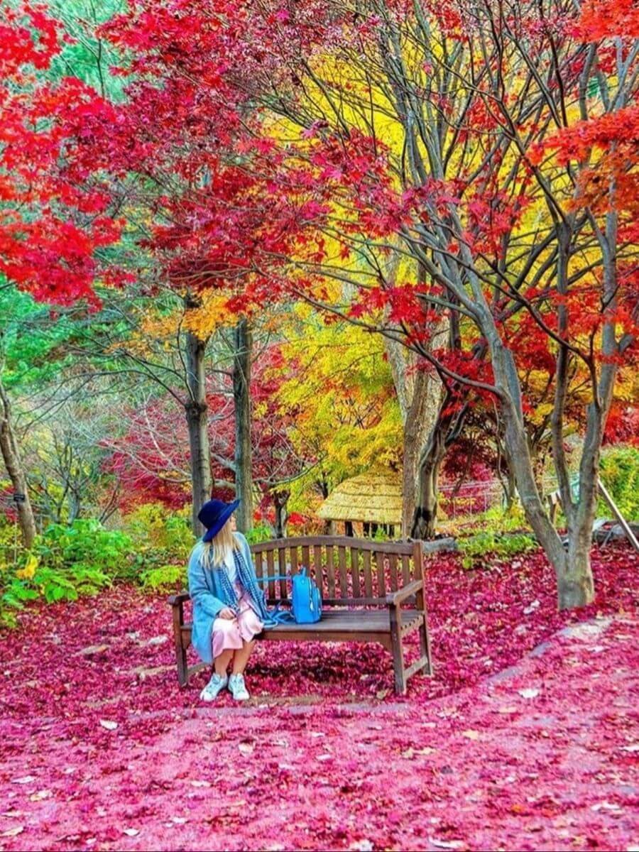 girl sitting on bench, fall foliage