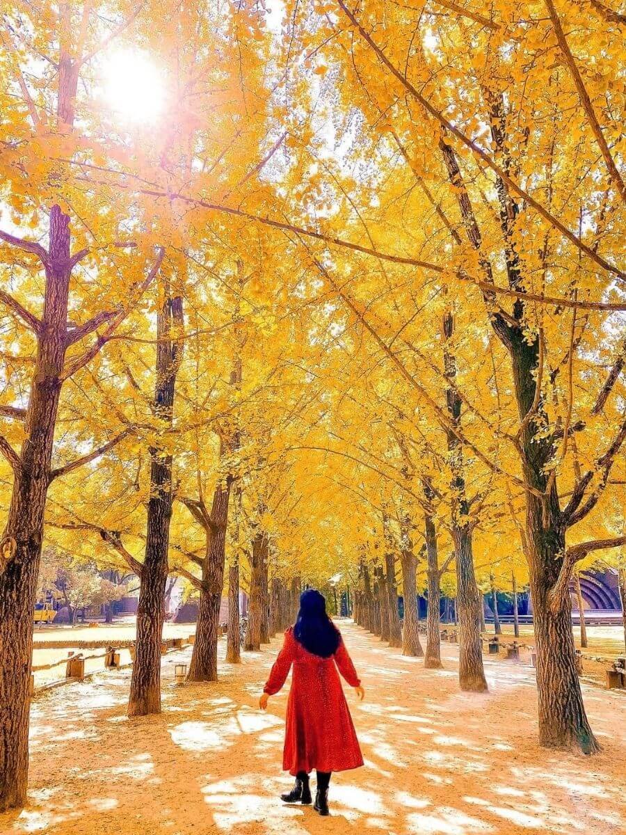 girl in red coat, yellow ginko trees