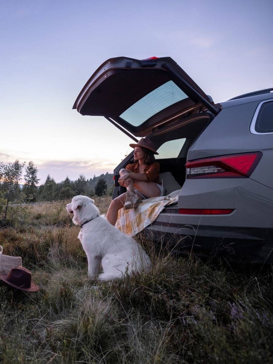Dog road trip tips