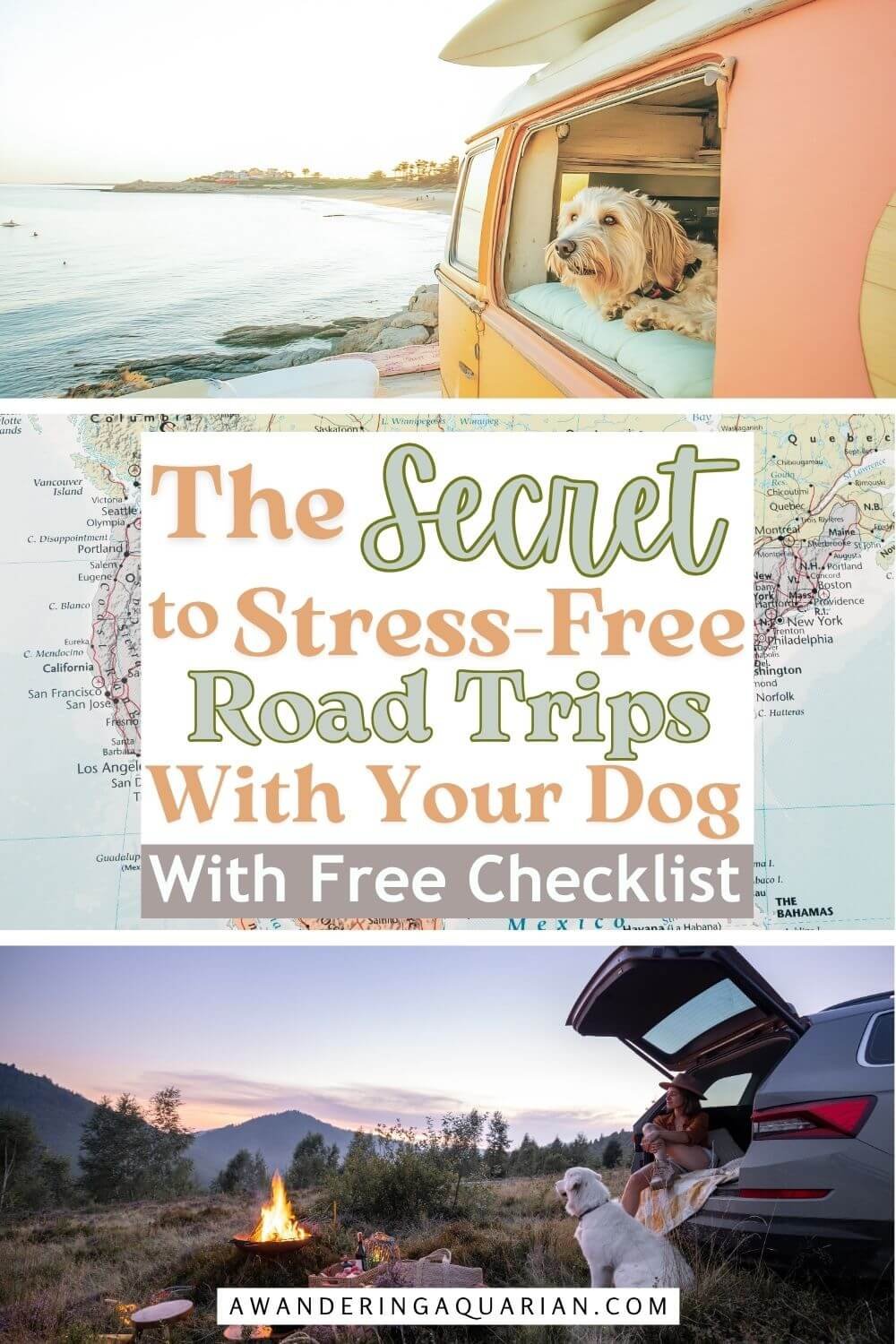 Dog road trip tips