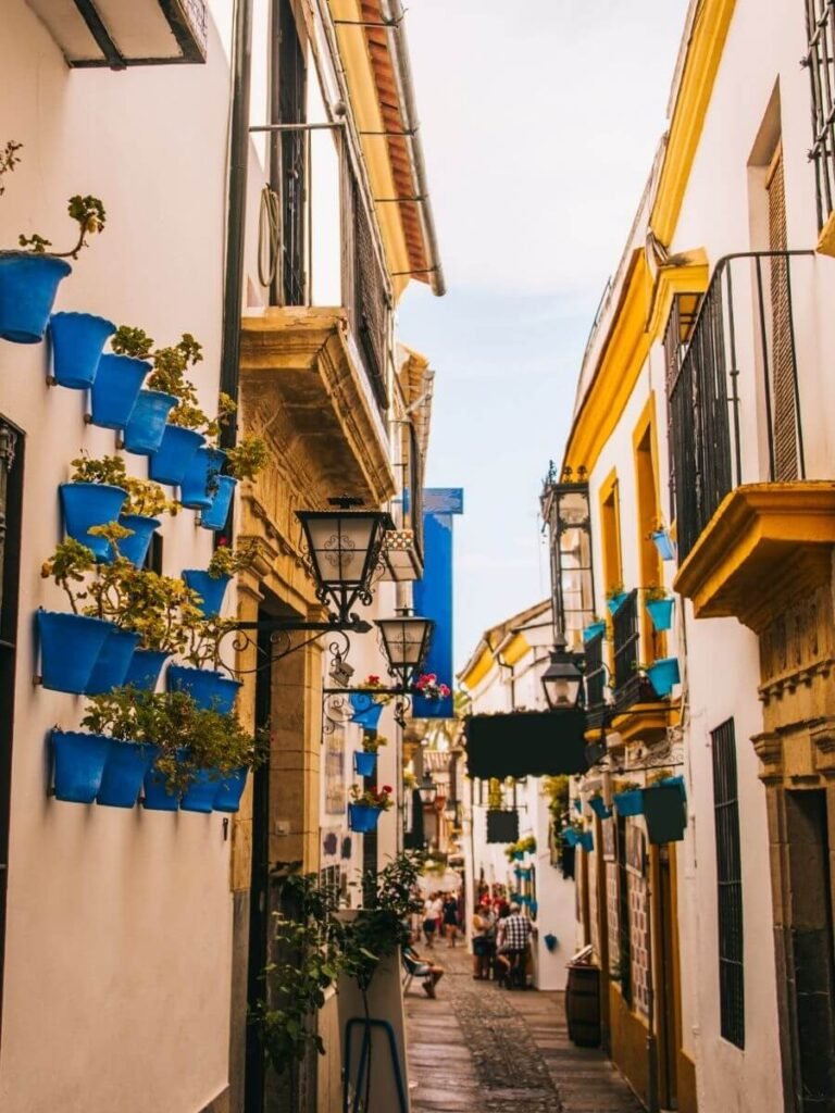bucket list destinations for women to visit this year. cordoba, raod with blue flower pots