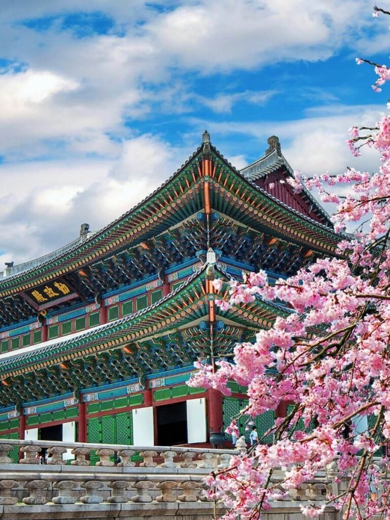 bucket list destinations for women. South Korea, temple with cherry blossoms
